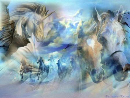 chevaux n°1